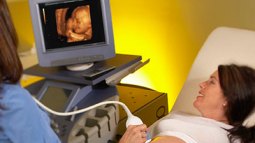 La placenta: un completo suministro para tu bebé
