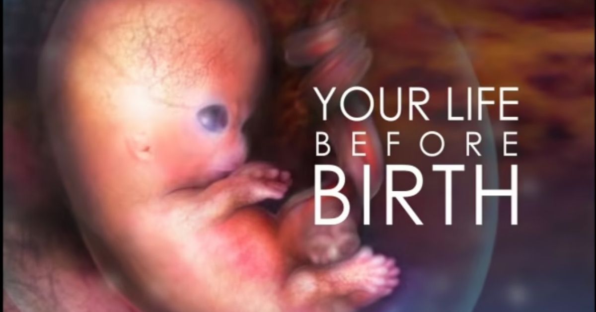 El vídeo con imágenes reales que muestra la vida del bebé en el vientre materno