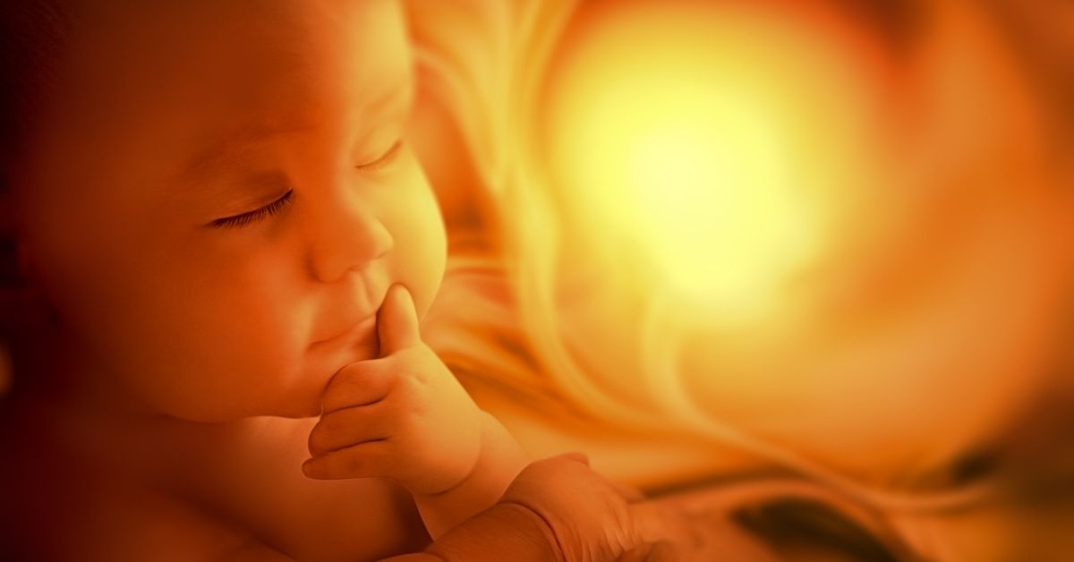 Antes de nacer, los bebés sueñan con el mundo que les espera y se preparan para él