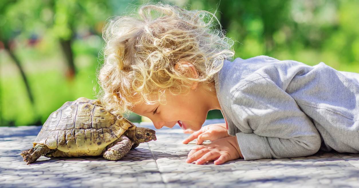 Reptiles en casa y niños, ¿es una buena idea?