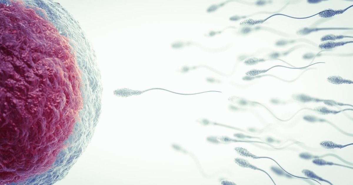Fertilidad masculina: ¿hasta qué edad pueden tener hijos los hombres?