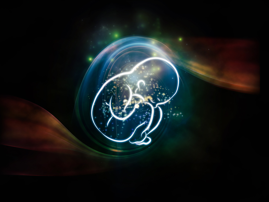 placenta.3