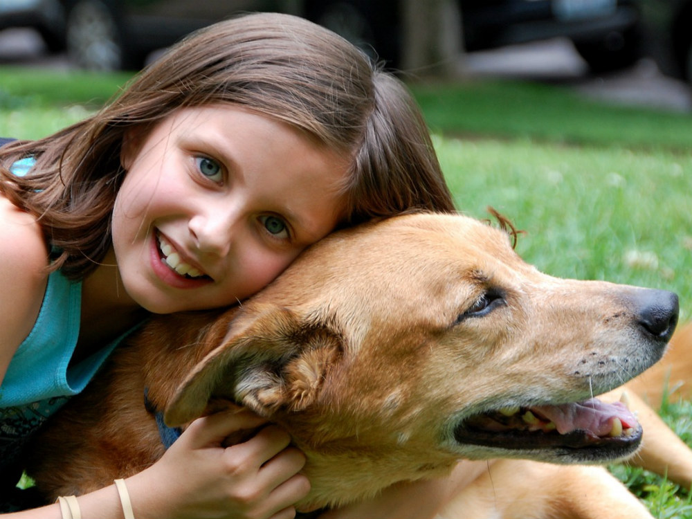 El adiestramiento canino mejorará la convivencia entre niños y perro