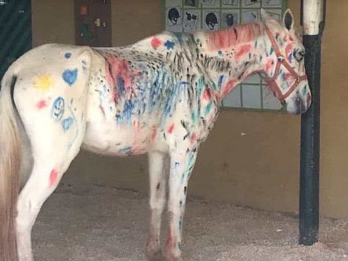 Caballo pintado