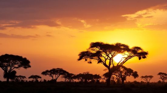 Día de África: 10 películas para que tu hijo conozca el continente africano
