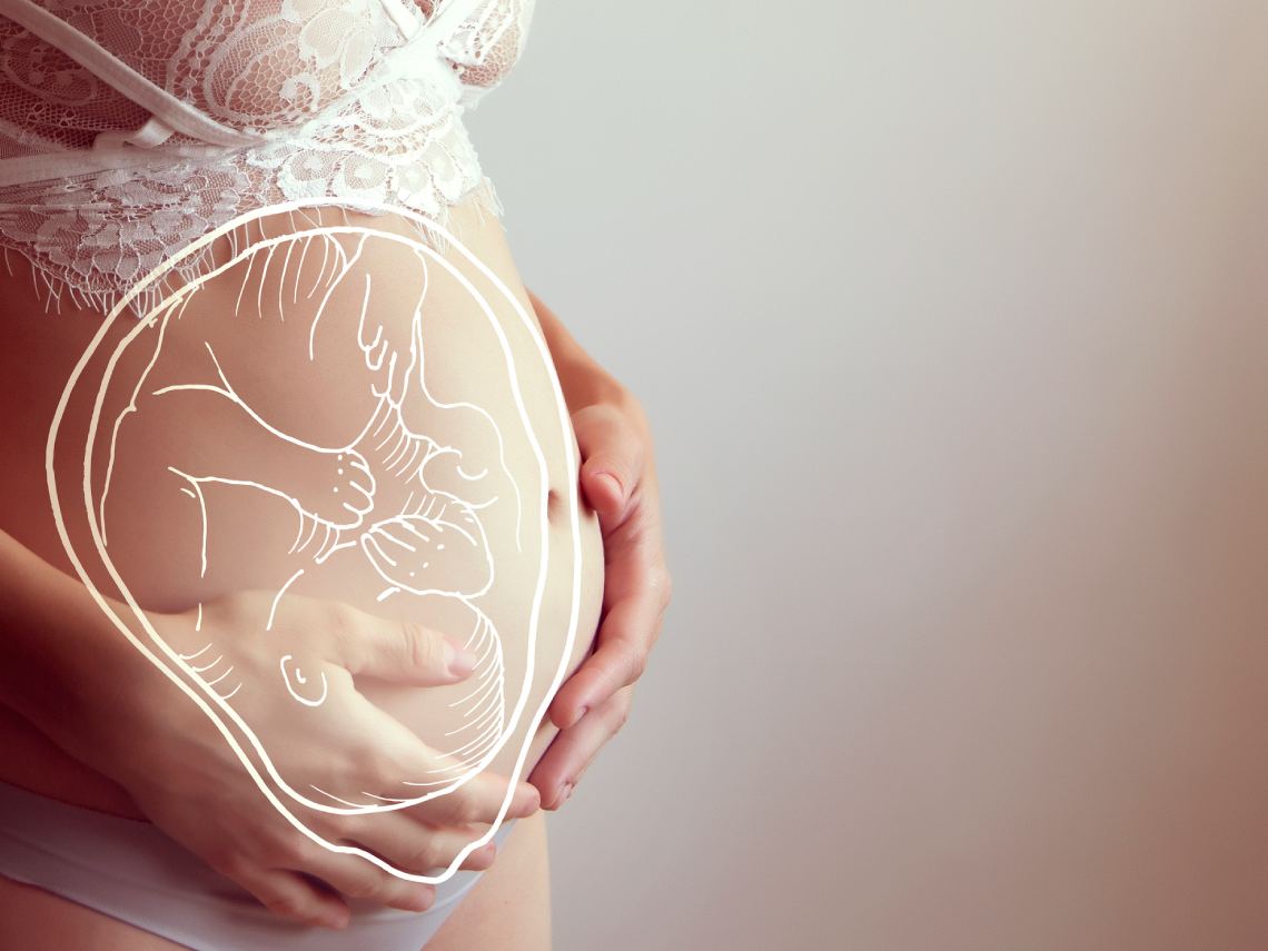 Qué hacer con la placenta después del nacimiento del bebé