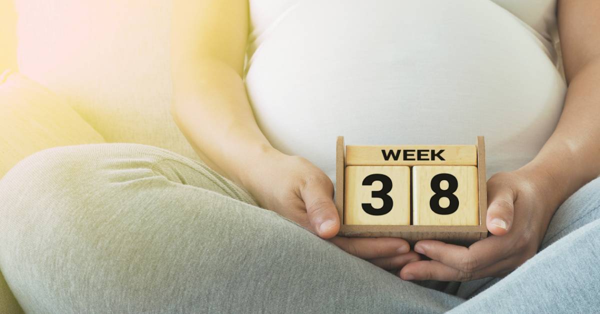 ¿Qué se puede ver en una ecografía a las 38 semanas de embarazo?