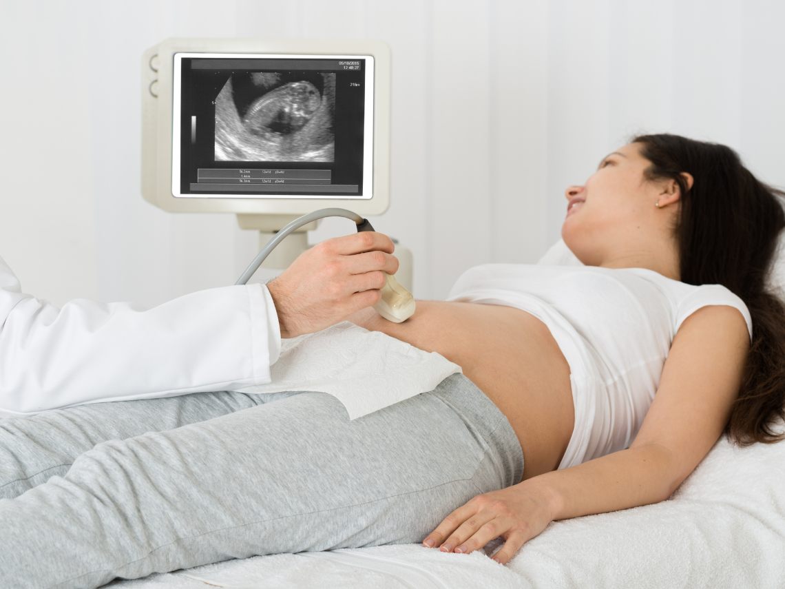 Funciones de la placenta