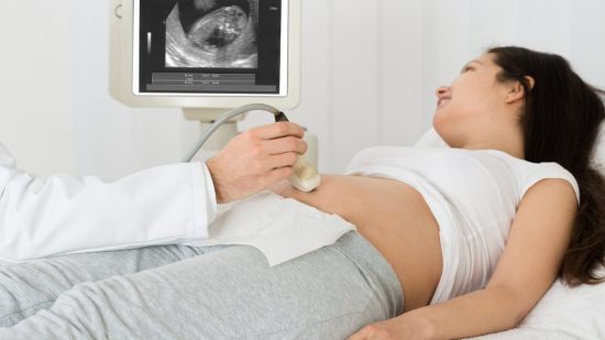 Funciones de la placenta