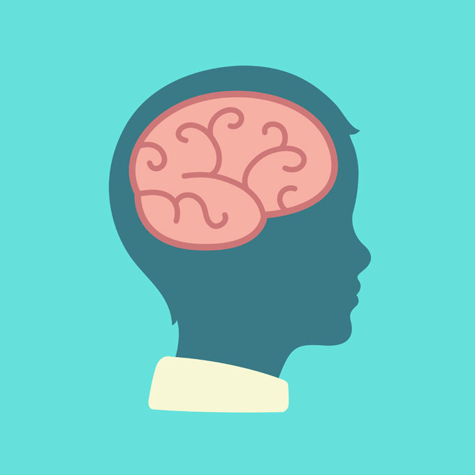 El cerebro de mi hijo: una casa en construcción