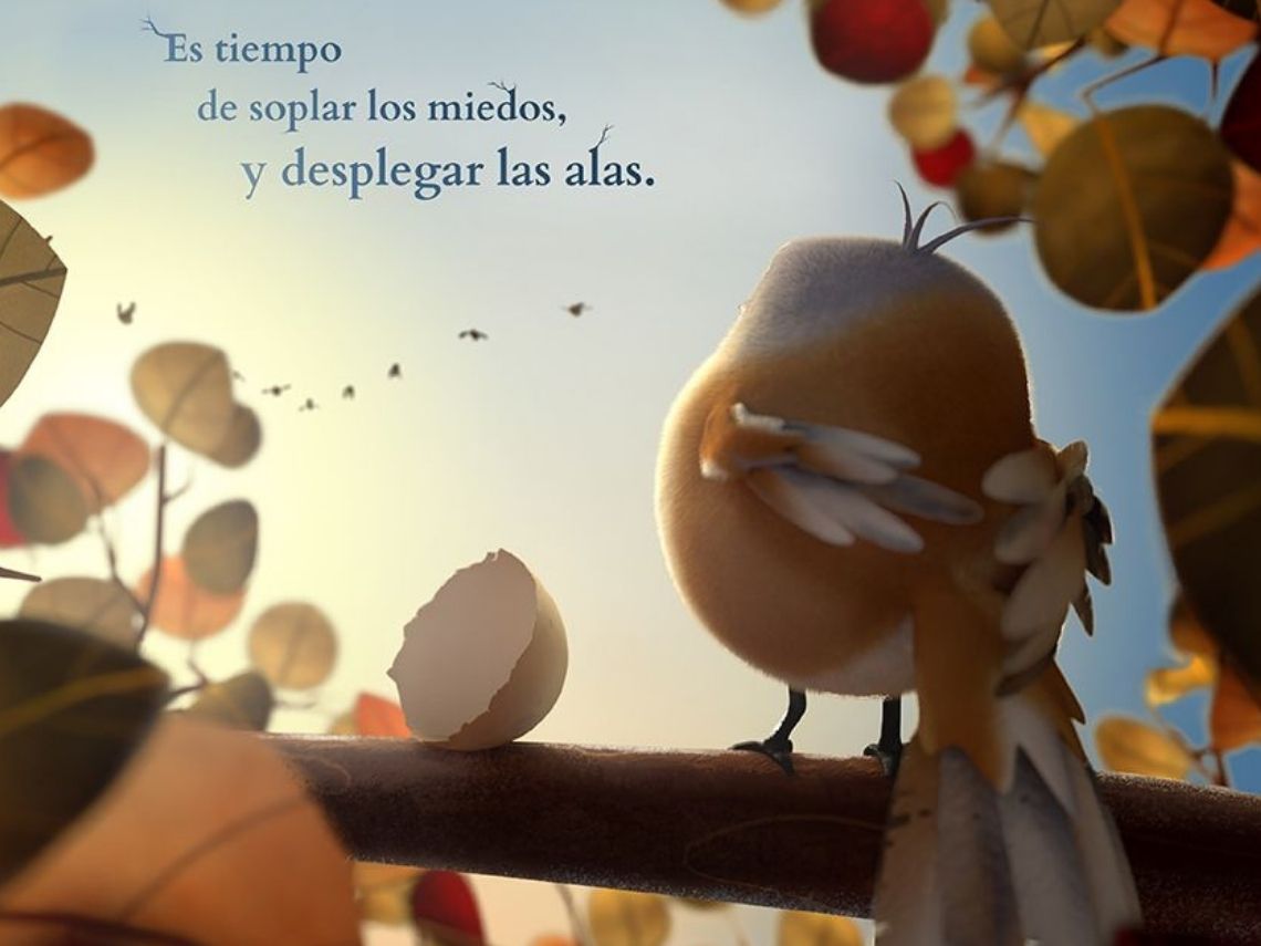 vuela