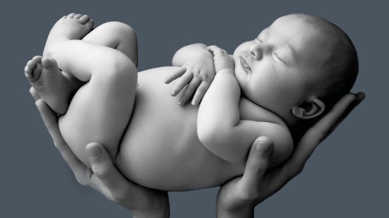 bebe