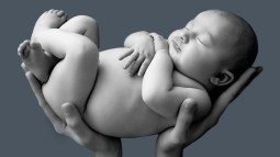 bebe