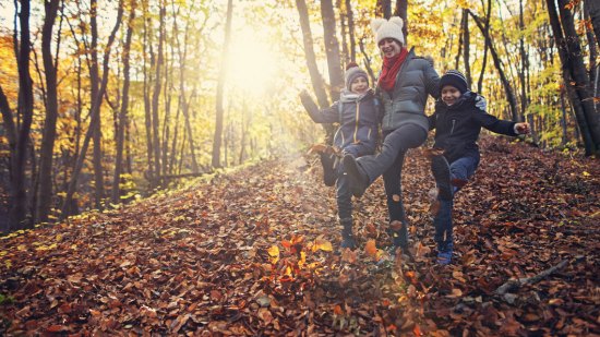 bosques niños