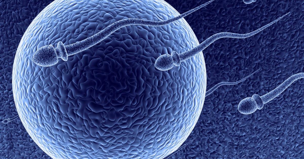 Teratozoospermia: qué es, por qué ocurre y tratamiento
