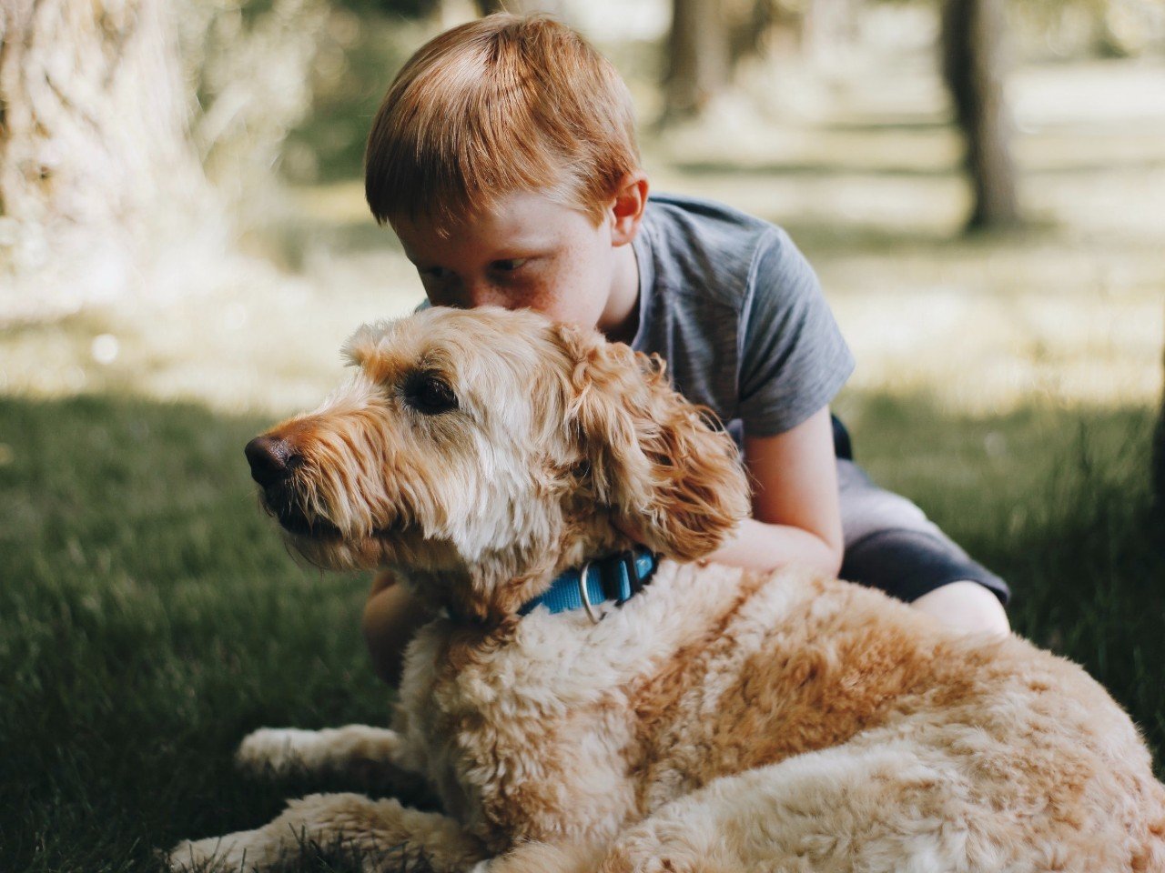 Niño y perro (Foto: Unsplash)