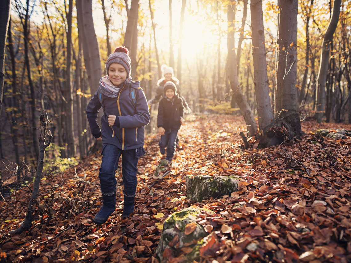 Planes de otoño para niños