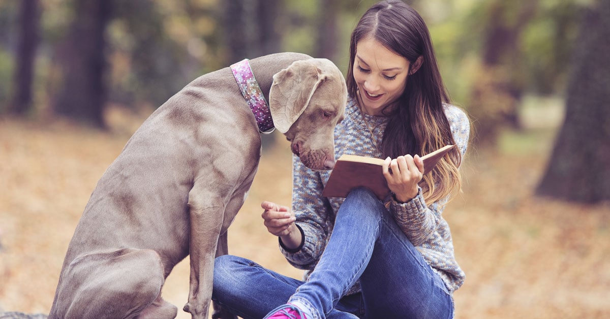 Libros protagonizados por animales que no puedes perderte