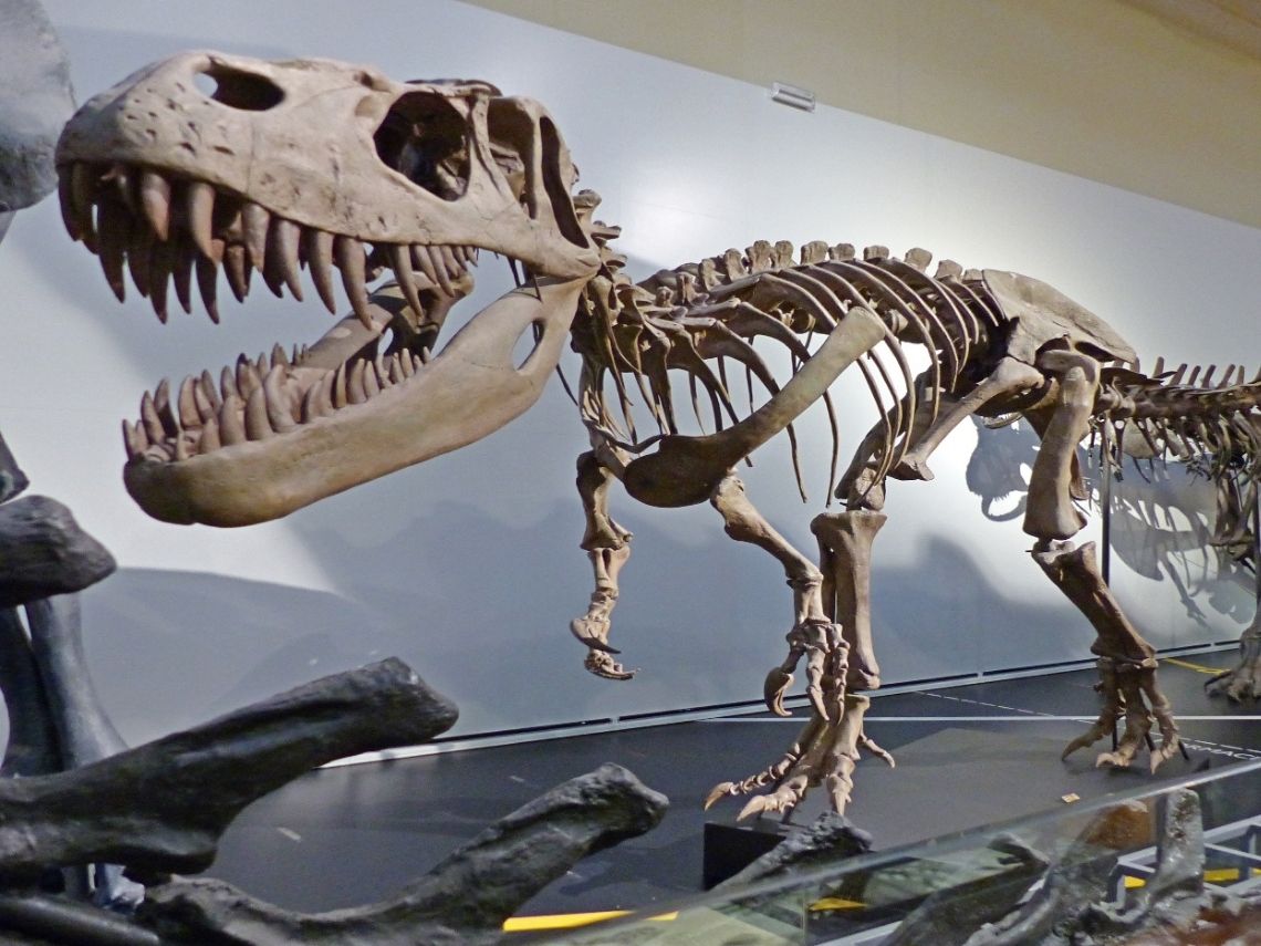 Lugares de España para ver dinosaurios con tus hijos