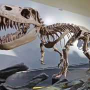 Lugares de España para ver dinosaurios con tus hijos