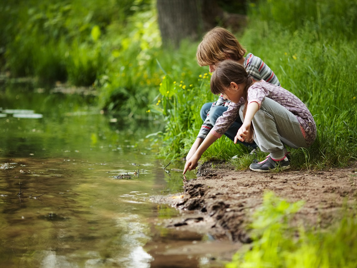 Actividades para disfrutar de la naturaleza