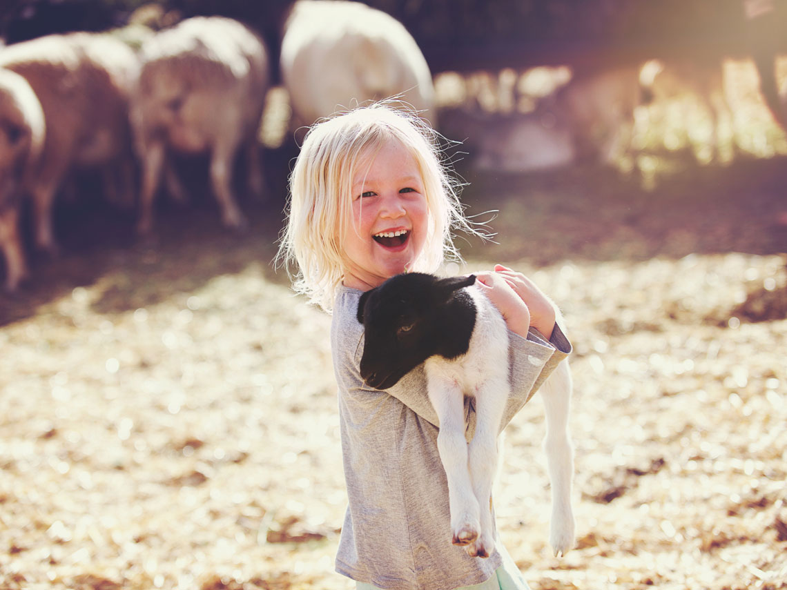 Niño en una granja rural acariciando a una oveja