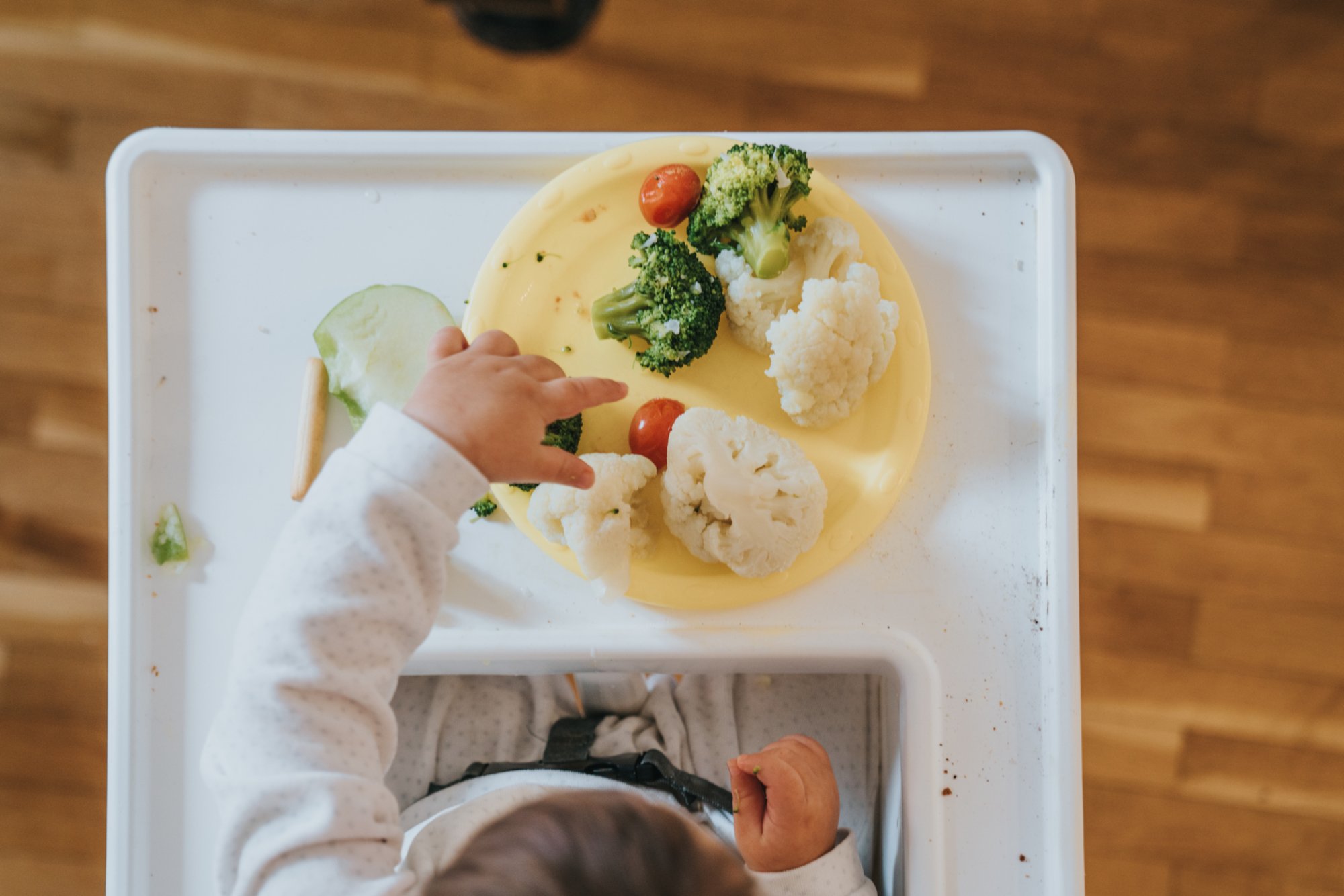 Introducción de los alimentos sólidos