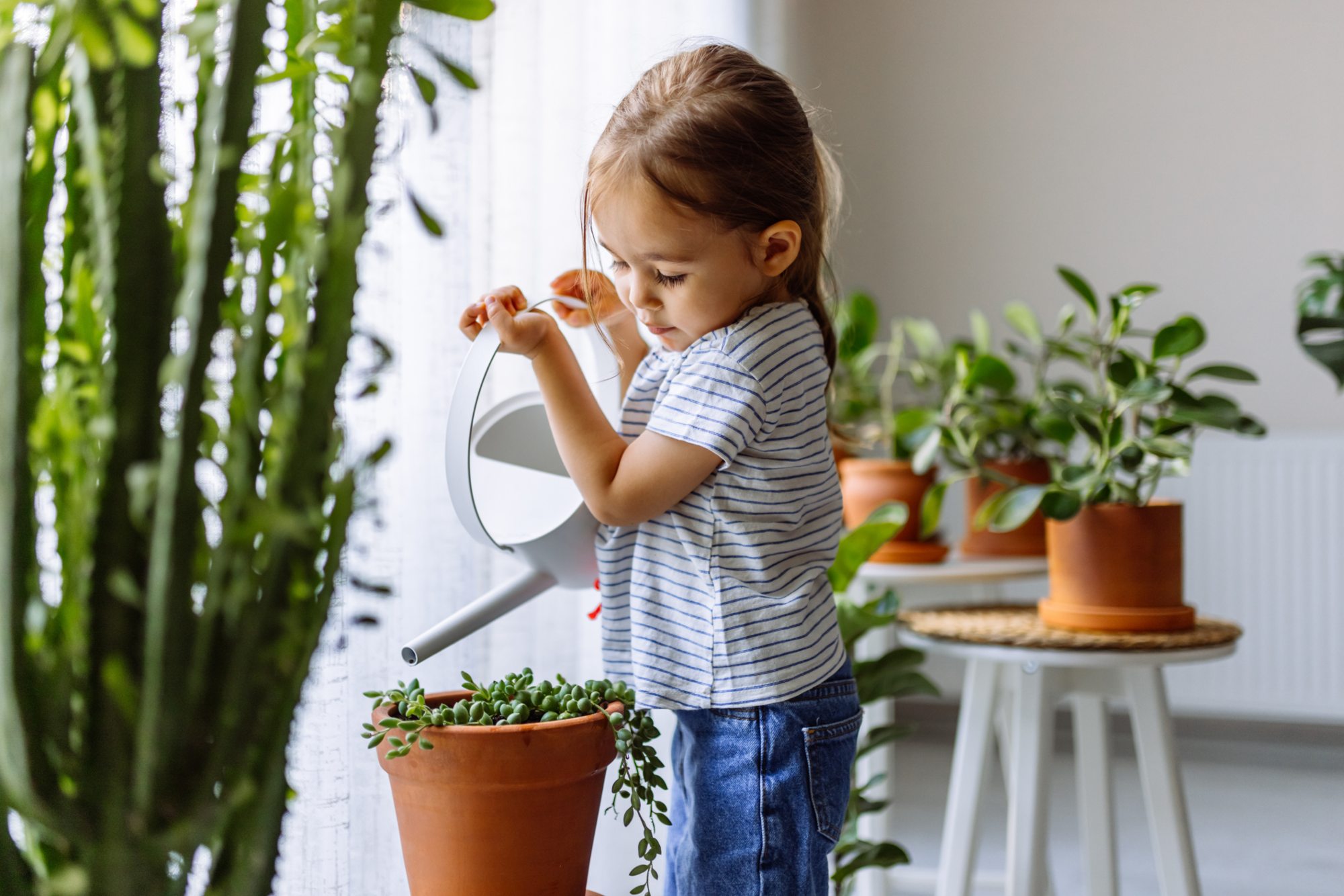 Cuatro beneficios que puede aportar cuidar plantas a los niños