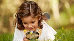 Presentamos en exclusiva un capítulo del libro 'La vida secreta de las plantas'