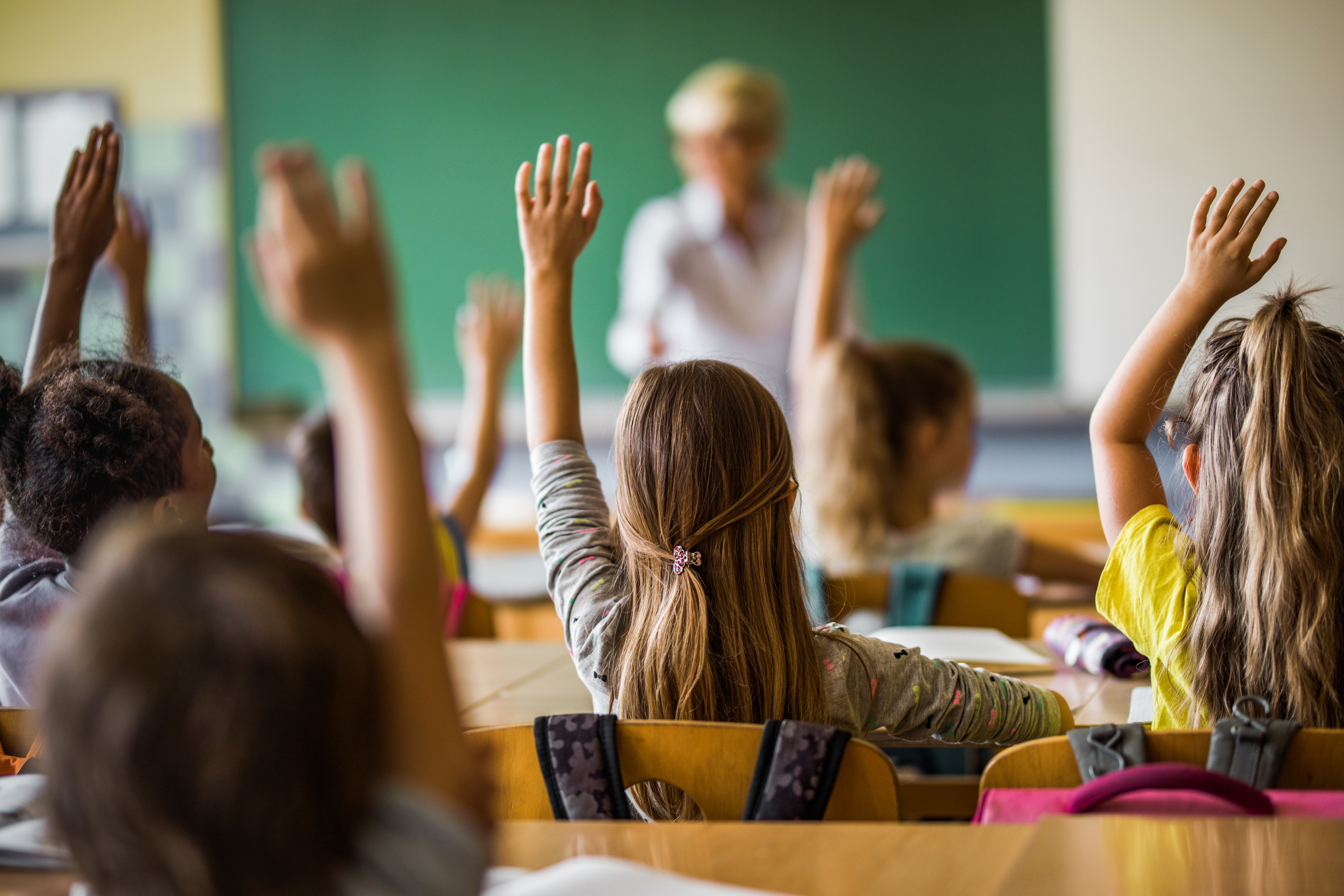 educación diferenciada