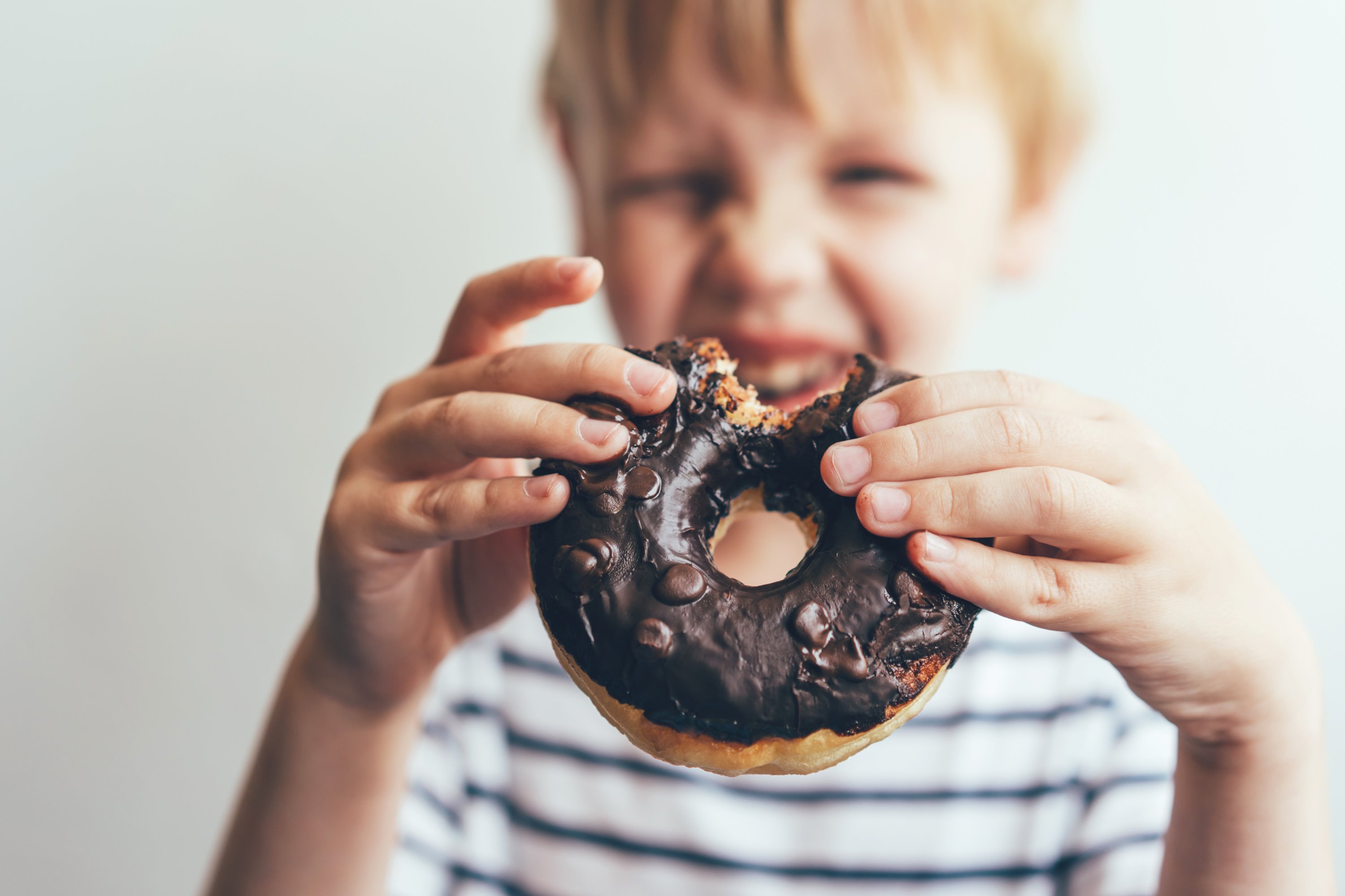 donut