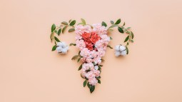 menstruación