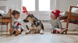 navidad