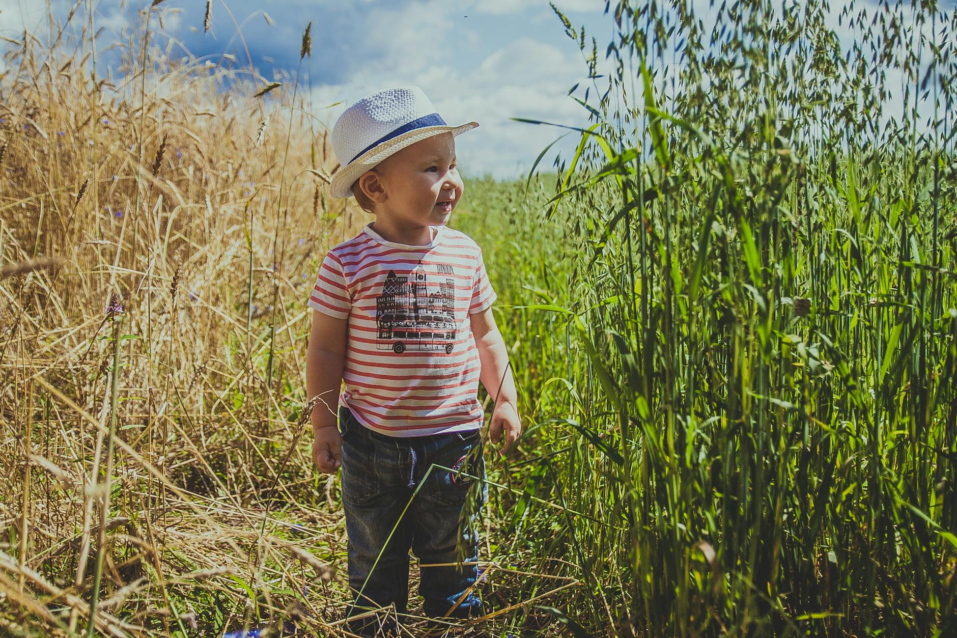 boy standing between withered and green grasses