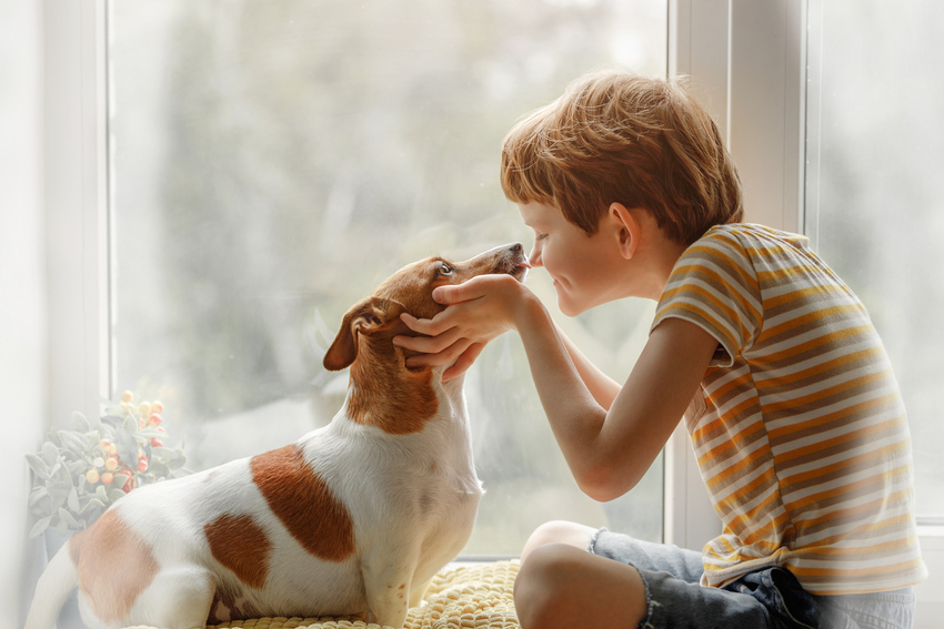 Niño y perro