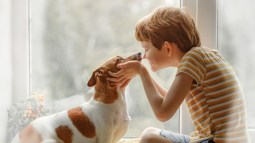 Niño y perro