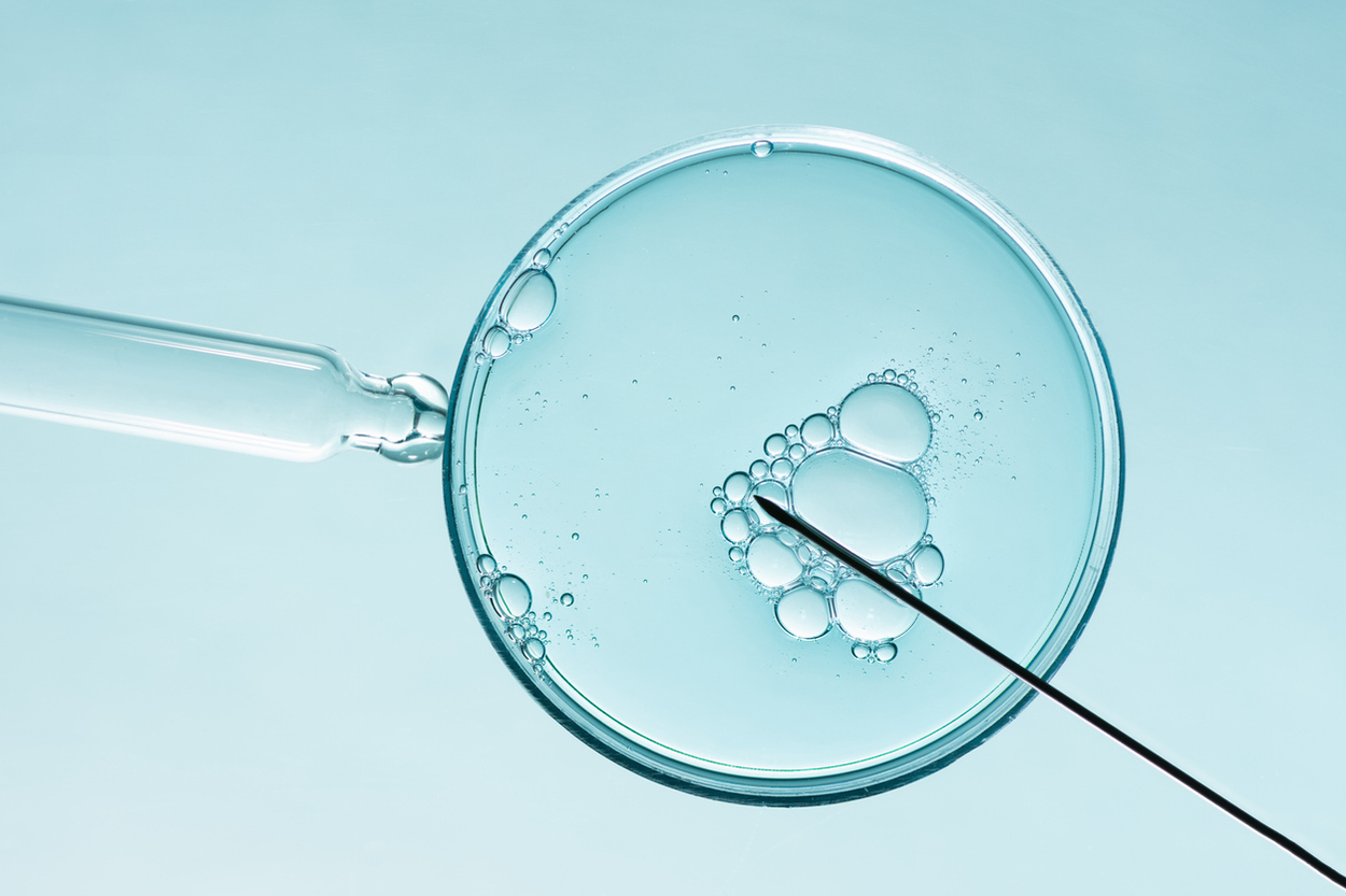 Fecundación in vitro