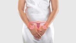 Embarazo con ciclo irregular: guía completa para futuras mamás
