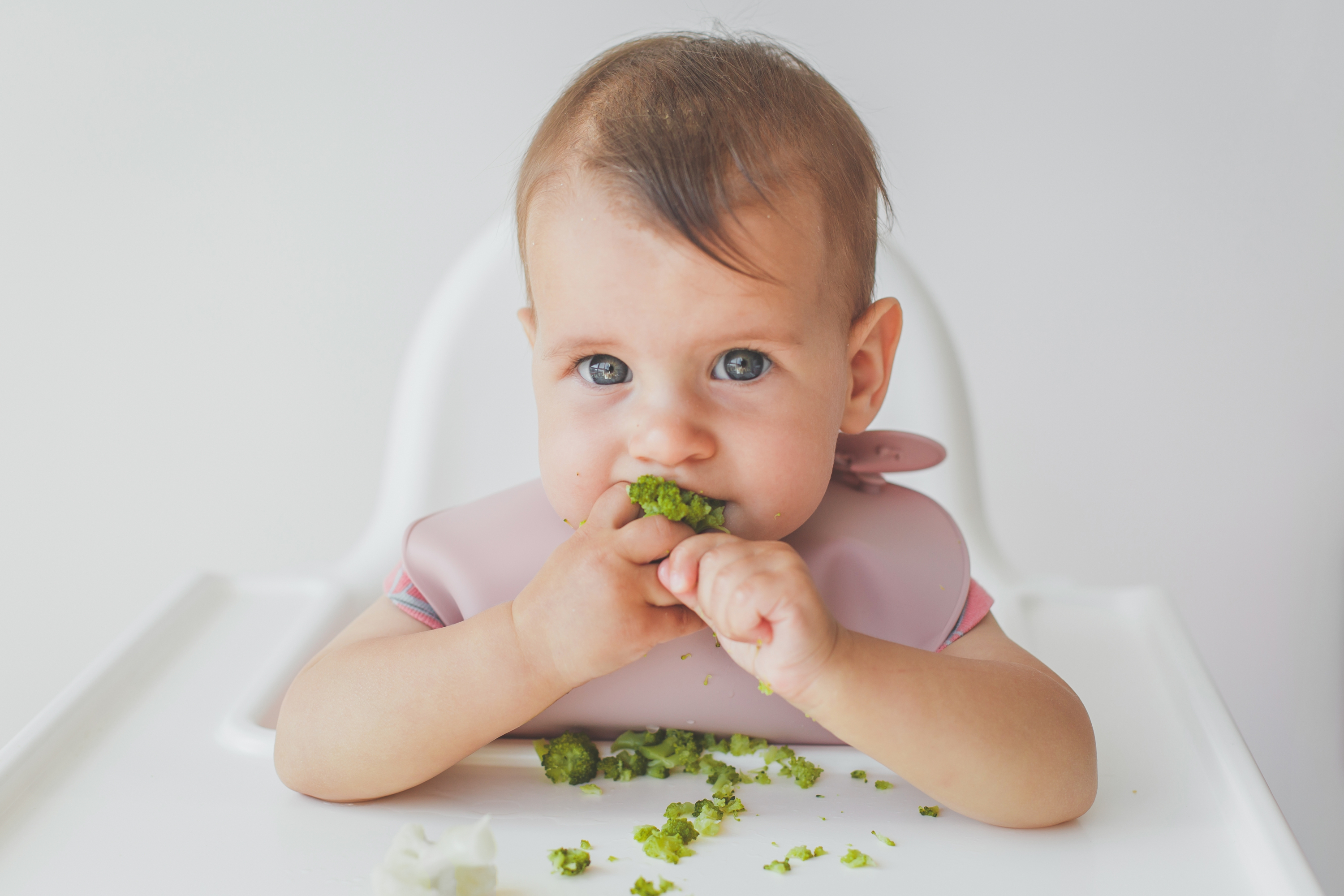 shutterstock_2306880045
