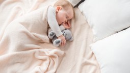shutterstock_784490095