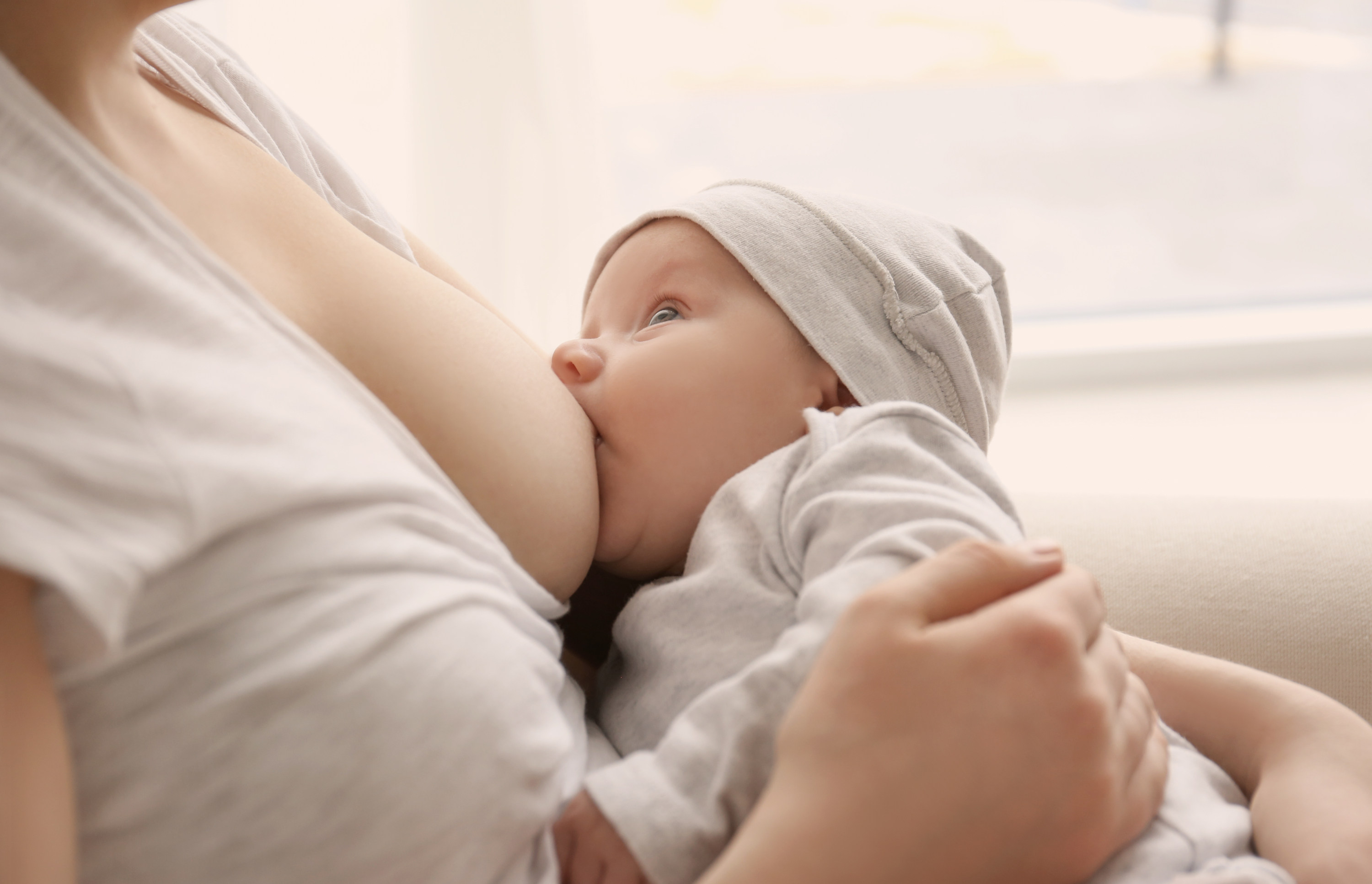 shutterstock_596703422