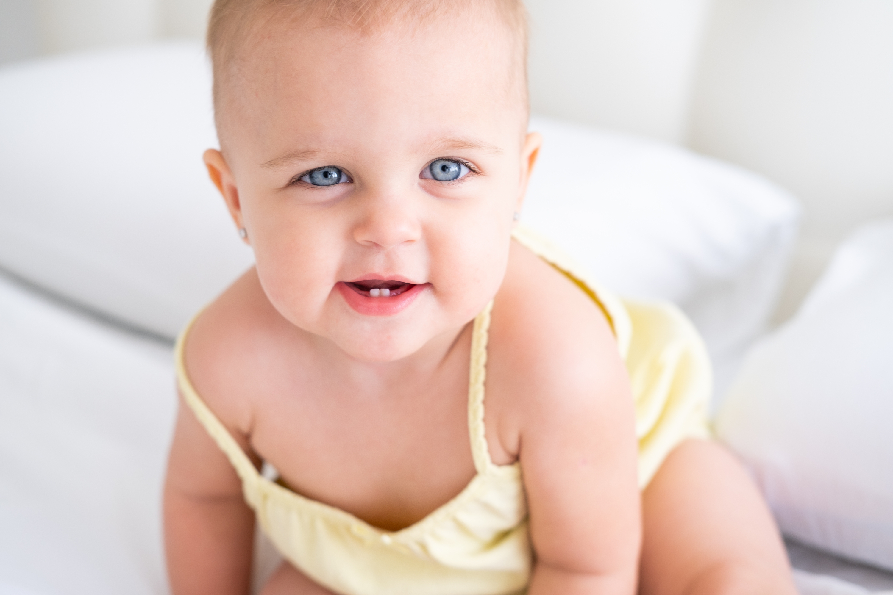 shutterstock_2268179475