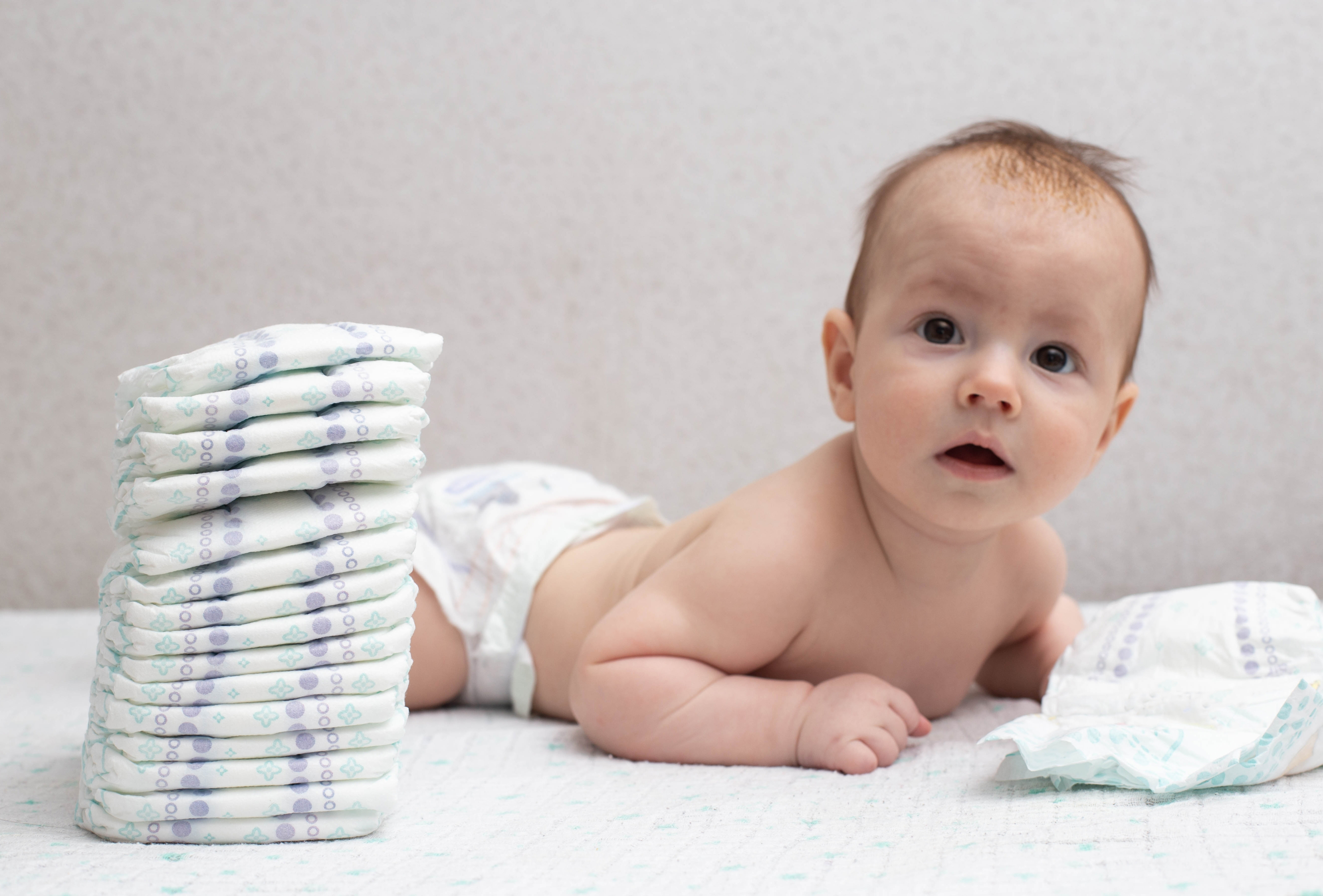shutterstock_2324378875