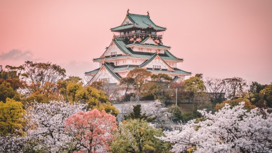 shutterstock_1579780528