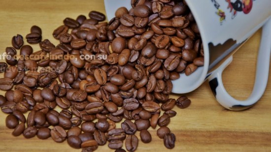 ¿El niño puede tomar café descafeinado?