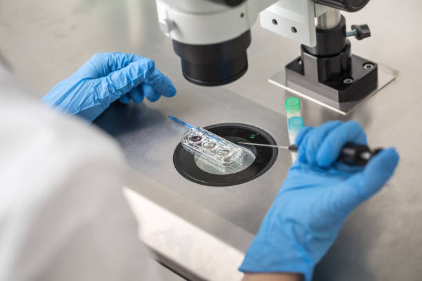 Trabajo en el laboratorio