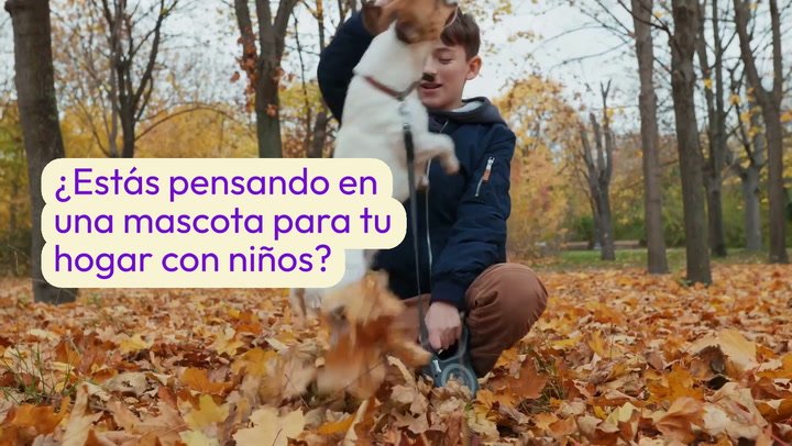 Las mejores mascotas para tener en casa si tienes hijos