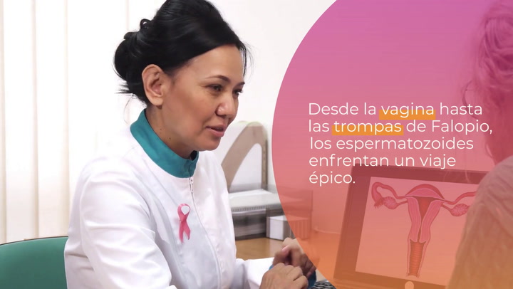 El comienzo de una nueva vida