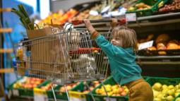 istockphoto-1481070815-612x612