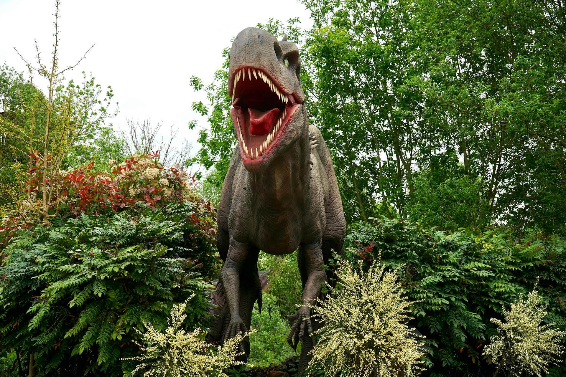 Dinosaurio